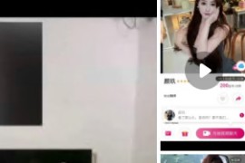 甜心 颜玖   私人定制  一对一 掏奶骚叫 自摸 3V