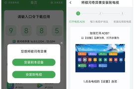野草助手 TV + 手机版｜整改复活，手机电视双端可用，大屏必备工具