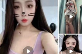 小狸猫 高颜大奶御姐  露三点  掰穴