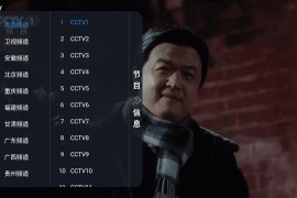 多米直播 v1.0.0 TV版