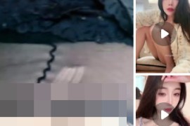 抖音  DontWorry 高颜美乳御姐 B特写 啪啪做爱 内射 口交 接吻 3V