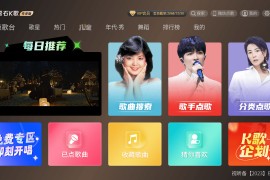 雷石K歌 v3.1.5.0 TV绿化版