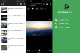 XPlayer v2.4.6.1 安卓绿化版