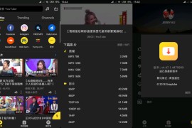 油管下载器Snaptube v7.45.0.74550110 安卓绿化版