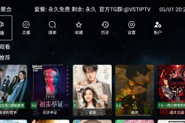 全聚台VST v2.0.8 TV版
