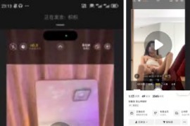 抖音  枳枳  大尺度 全果道具插比 2V