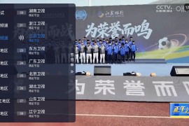 码点电视家 v8.0 TV版