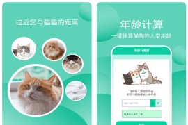 猫猫交流器 v3.3.9 安卓绿化版