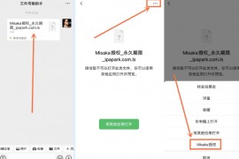 Misaka 授权文件 永久期限