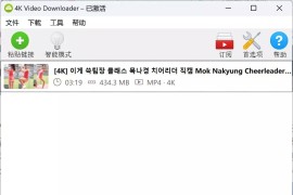 视频下载器：4K Video Downloader+ v25.3.1 中文绿色便携版