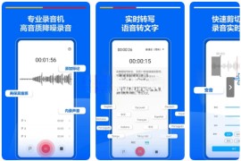 超级录音机 v2.4.6.1(24610) 安卓绿化版