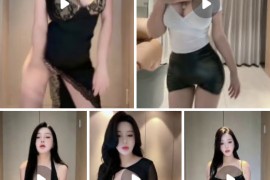 快手 赵肥肥   极品美女 情趣 漏内 骚舞 8v