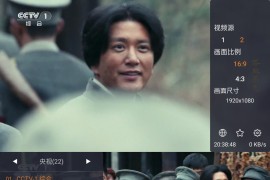 2026 WebView 电视 v2.1.1 官网源 TV 升级 源永久无失效