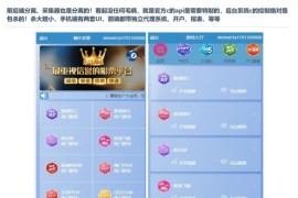 vue框架|完美控杀|私彩+官彩