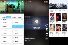短剧汪 v2.0.5 安卓绿化版