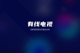有线电视 v1.0.9TV版-有地区限制