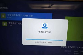 夸克网盘 TV 版 v2.8.1652！仅 8MB，体验贼爽的大屏神器