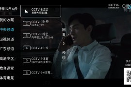 秒看电视 v9.2.15/7.7.1 TV绿化版