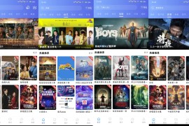 枕星视频 v5.0.1 安卓绿化版