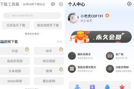 下载工具箱 v3.9.8 安卓绿化版